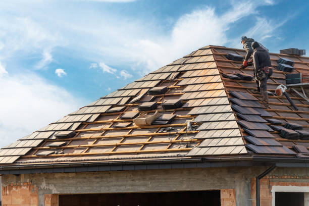 Best Roof Moss and Algae Removal  in El Reno, OK